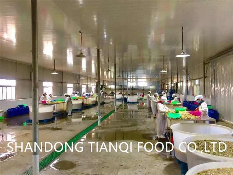 White champignon mushroom preserved in salted water in drums