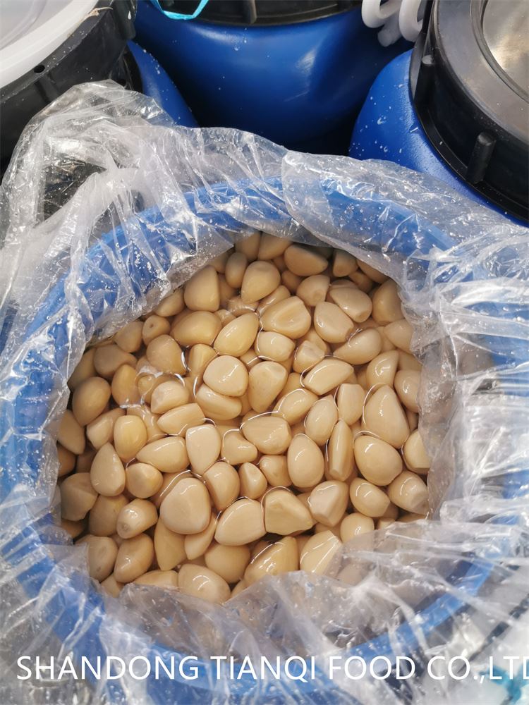 PEELED WHITE GARLIC IN BRINE IN DRUMS PEELED WHITE GARLIC IN BRINE IN DRUMS