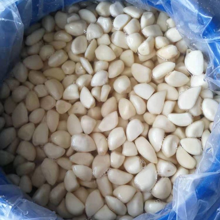 Preserved normal white garlic cloves in brine in drums Preserved normal white garlic cloves in brine in drums