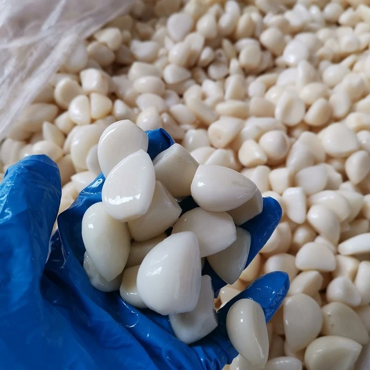 preserved garlic cloves in brine in drums supplier