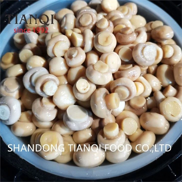 Mushroom in Drums in Vinegar Factory
