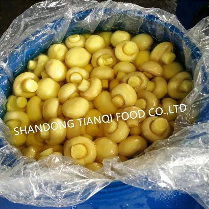 Wholesale white champignon mushroom in SO2 in drums