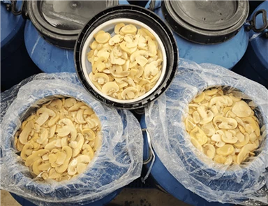 47 kg Brindagi qo'ziqorin